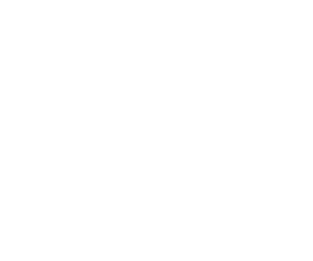 Logo Oncologie Netwerk Rijssen Wit